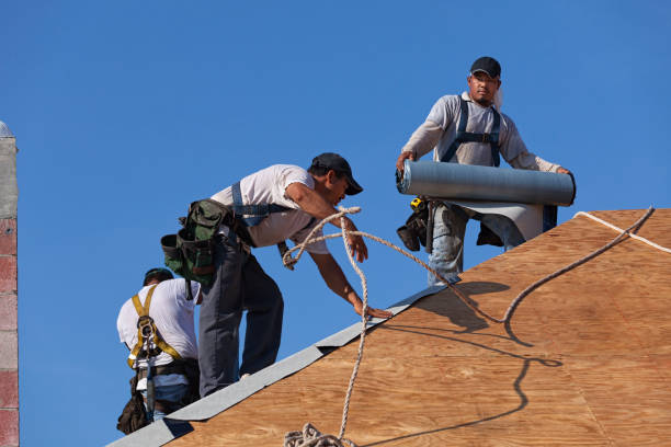 Best Gutter Installation and Roofing  in Lochbuie, CO