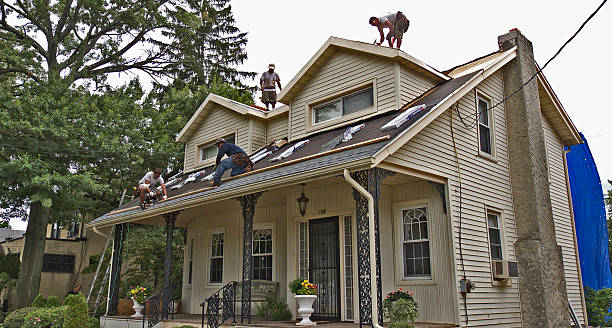 Best Roof Leak Repair  in Lochbuie, CO